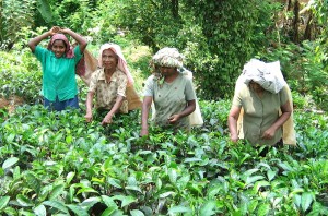 Sri Lanka