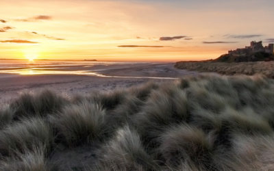 Leser-Reise nach Northumbria – noch drei freie Plätze