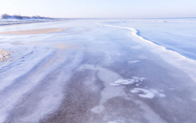 Alles hat seine Zeit