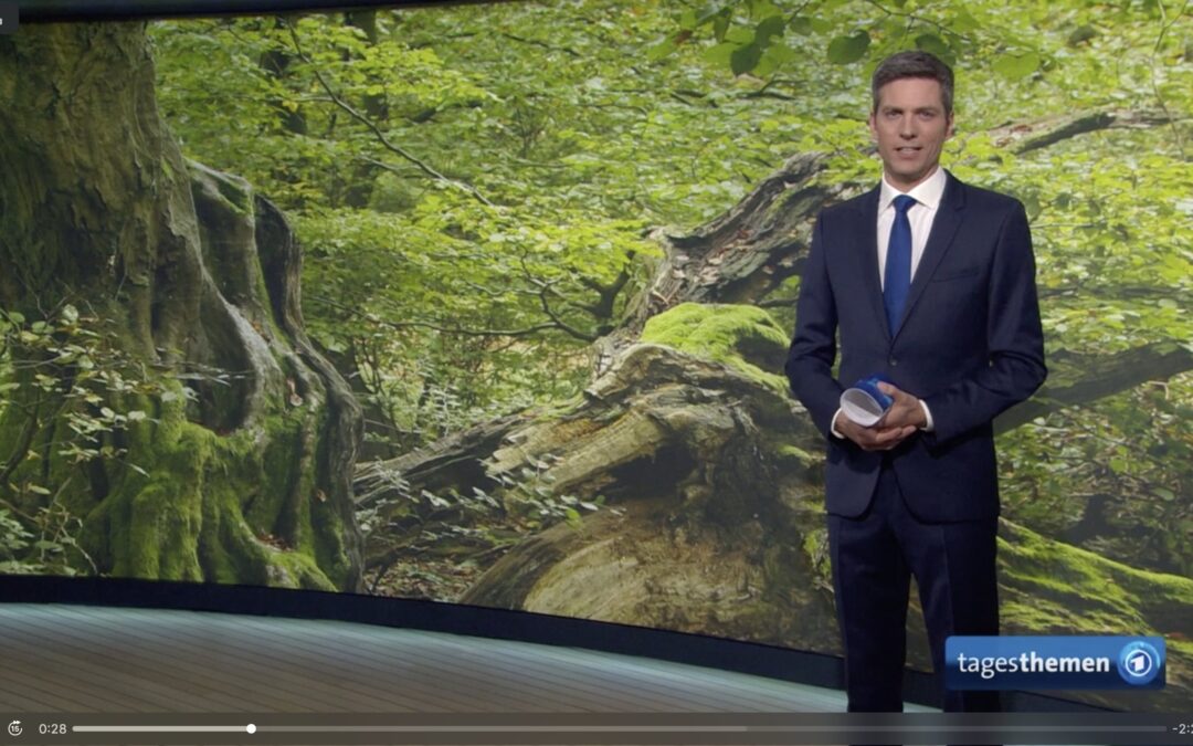 Waldbademeister Ausbildung: Die ARD Tagesthemen berichten