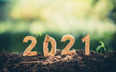 Time to shine – Zeit zum Strahlen