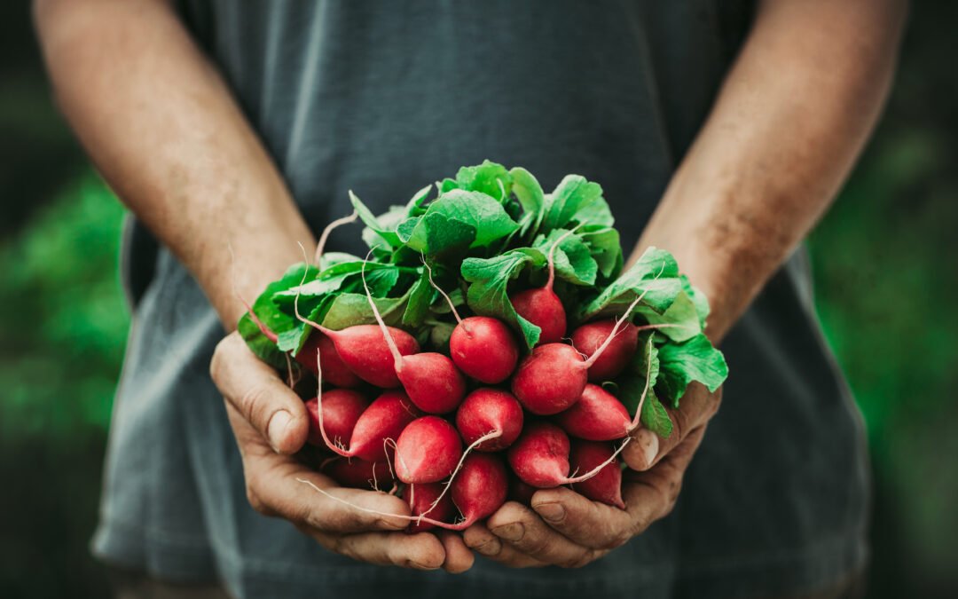 Garten Gestaltung: Warum Gärtnern so gut tut