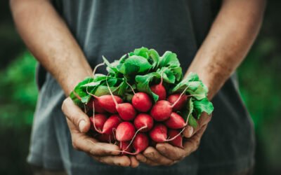 Garten Gestaltung: Warum Gärtnern so gut tut