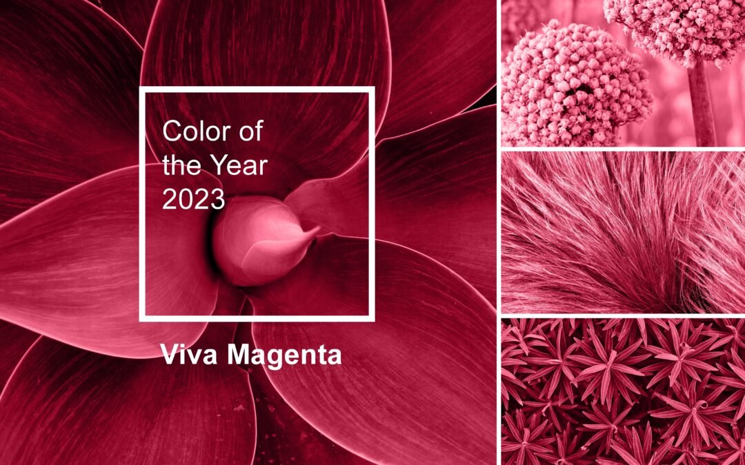 Trendfarbe 2023 – VIVA MAGENTA